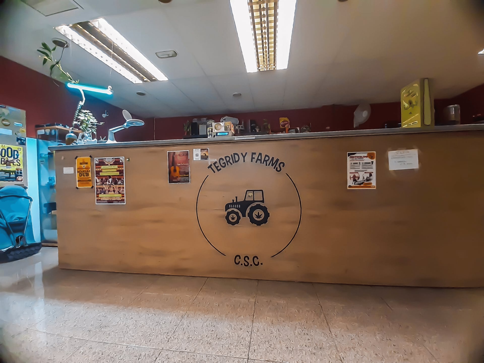 Tegridy Farms CSC